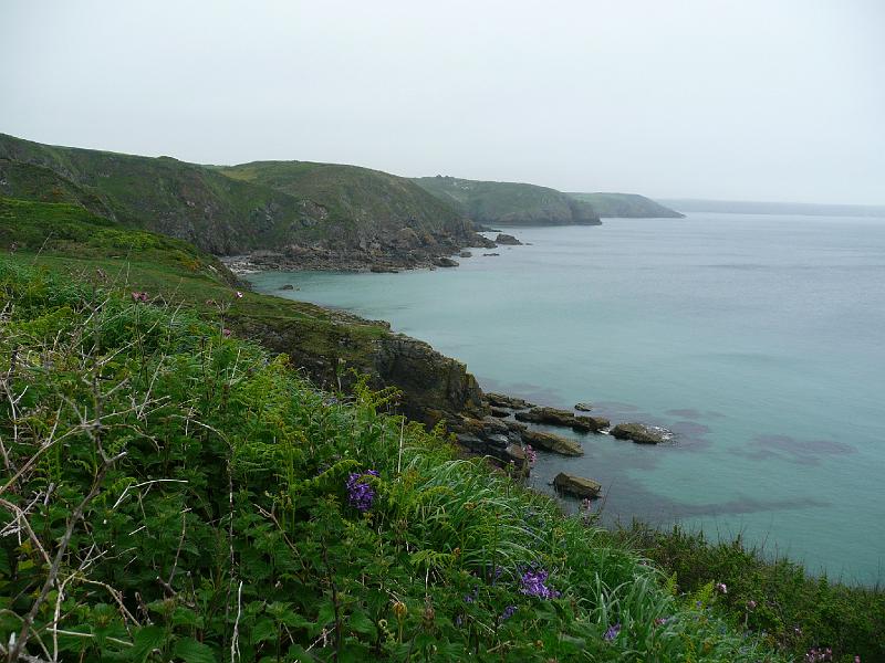P1000601- Sur le sentier cotier aux abords du cap lizard.JPG - Sur le sentier côtier aux abords du cap Lizard